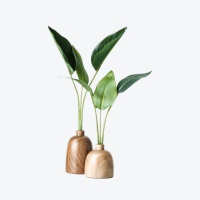 Plant on wooden vase